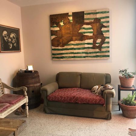 Posada Barbario Con 4 Habitaciones Oaxaca 外观 照片